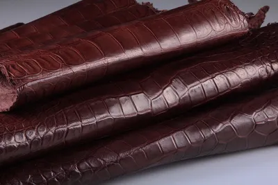 Кожа крокодила, черная, 100х37 см.- kr-330 - натуральная, купить в  It-Leather