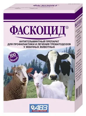 Оспа мелкого рогатого скота: специфика и профилактика болезни - БУОО  \"ОРЛОВСКАЯ ГОРОДСКАЯ СТАНЦИЯ ПО БОРЬБЕ С БОЛЕЗНЯМИ ЖИВОТНЫХ\"