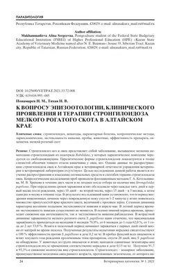 Лечение коз в ветеринарной клинике Добрый Доктор в Москве