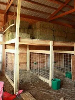 Особенности выращивания и содержания коз на участке | Строительный портал  RMNT.RU | Дзен