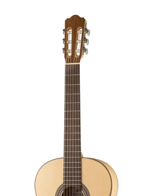 SS100 Eco Maple Классическая гитара Hora купить в интернет магазине Лидер  Саунд с бесплатной доставкой, характеристики, отзывы, фото