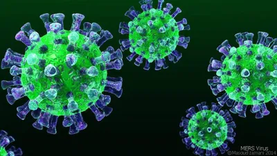 В России выявлен первый случай заражения новым вариантом коронавируса « Кракен» | «Новый компаньон»