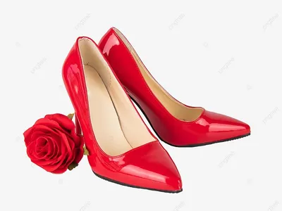 Туфли На Высоких Каблуках Женщина Красивая Pumps Высокие Каблуки Sexy  Ladies Сандалии Женщина Насосные Обувь Кожа Сандал Обуви Гладиатор  Chaussure От 9 545 руб. | DHgate