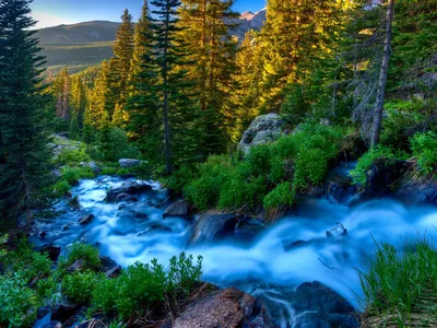 Обои Красивая природа, ручей, деревья 2560x1600 HD Изображение