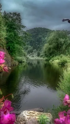 Скачать обои Красивая природа, Пейзаж, Австрия, Река, Горы, Птицы в  разрешении 720x1280 на рабочий стол