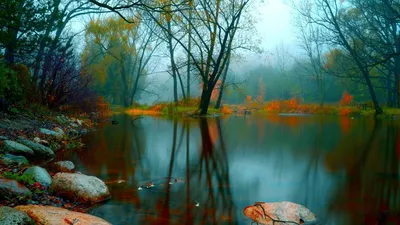 Картинка красивая, природа, озеро 1920x1080 скачать обои на рабочий стол  бесплатно, фото 148668