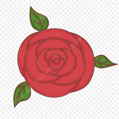 Красная роза Зеленые листья Красивая роза Яркая роза PNG , Яркая роза,  рукой, Красивая роза PNG картинки и пнг PSD рисунок для бесплатной загрузки