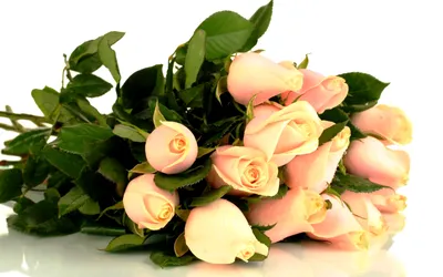 Картинка Красивый букет из розовых роз » Букеты цветов картинки (290 фото)  скачать бесплатно - Картинки 24 » Картинки 24 - скачать картинки бесплатно