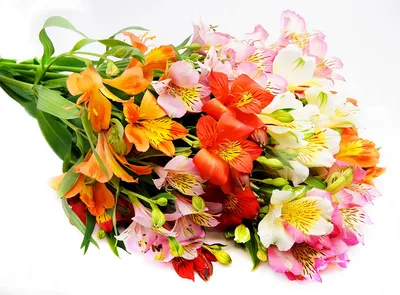 Букеты цветов красивые картинки (49 лучших фото)