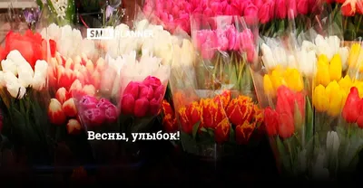 Посты блогов с меткой «8 Марта»