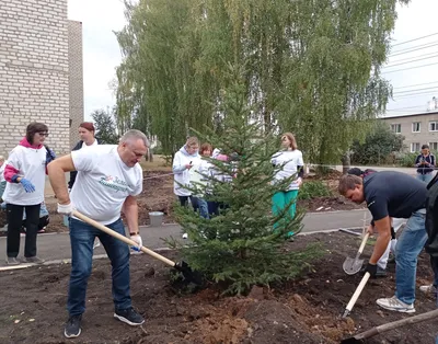 Жители Бирского района приняли активное участие в республиканской акции  «Зеленая Башкирия»