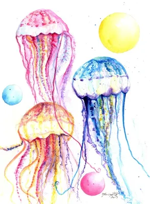 Самые красивые и яркие медузы.