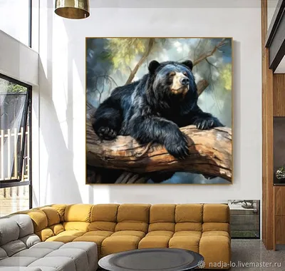 Бурые медведи - интересные фотографии и красивые картинки