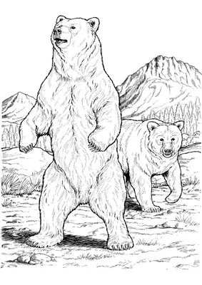 Имитация полярного медведя, Детская Подарочная экшн-фигурка диких животных,  милые модели украшений, коллекция фигурок белого медведя | AliExpress