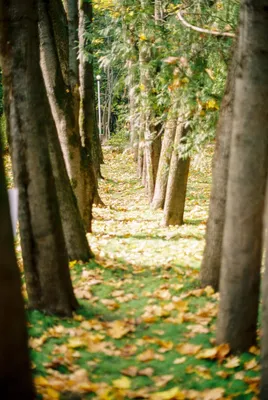 17 красивых мест в Москве для прогулок осенью • Slow Soul