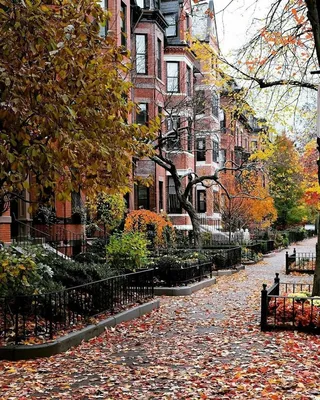 Эстетика осеннего Бостона | Интересный контент в группе Красивые вещи  (Oldschool) | Живописные пейзажи, Современный пейзаж, Красивые места
