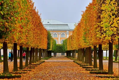 Что посмотреть, куда сходить и какие места посетить в Санкт-Петербурге  осенью в 2021 году