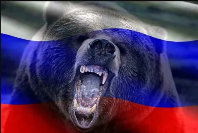 Флаг России на аватарку (40 фото) | Zamanilka