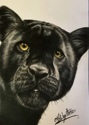 Красивая черная пантера выпрыгивает …» — создано в Шедевруме