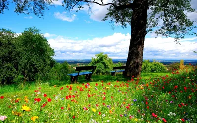 Природа весна лето - 45 фото - картинки и рисунки: скачать бесплатно