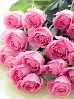 Открытки цветы красивые розы - фото и картинки abrakadabra.fun
