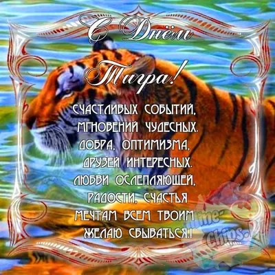 🐯 Милый, маленький детёныш тигра…» — создано в Шедевруме