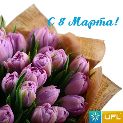 Как правильно выбрать цветы к 8 Марта - Новости Тулы и области - MySlo.ru