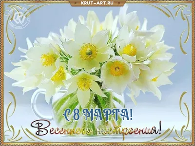 Заказать красивые цветы на 8 марта в коробке FL-245 купить - хорошая цена  на красивые цветы на 8 марта в коробке с доставкой - FLORAN.com.ua