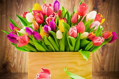 🌹Самые красивые цветы мира , подарят нам прекрасное настроение в этот  праздничный день 8 марта и зарядят нас позитивом на целый день! | Жанна  Аттар | Дзен