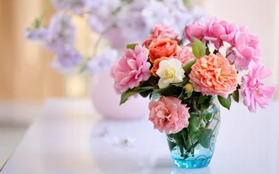 Самые красивые цветы в вазе - 65 фото