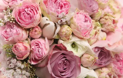 Обои цветы, романтика, розы, букет, rose, flower, i love you, красивые,  flowers, for you, beautiful, pretty, romantic, beauty, cool, lovely картинки  на рабочий стол, раздел цветы - скачать