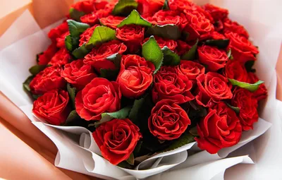 Обои цветы, розы, букет, красные, бутоны, красивые картинки на рабочий  стол, раздел цветы - скачать
