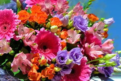 Картинки цветы красивые поздравления (43 фото) » Юмор, позитив и много  смешных картинок