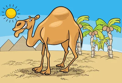 Верблюд в солнечных очках загорает …» — создано в Шедевруме