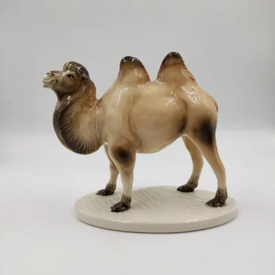 Прикольные рисунки верблюдов - 71 фото
