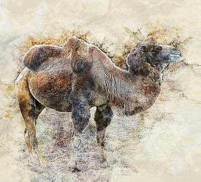 Макро фото красивый цирковой верблюд…» — создано в Шедевруме
