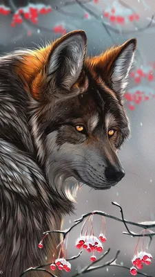 Рисунок красивый волк - 38 фото