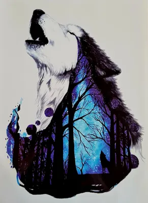 Красивый волк в лесу - 77 фото