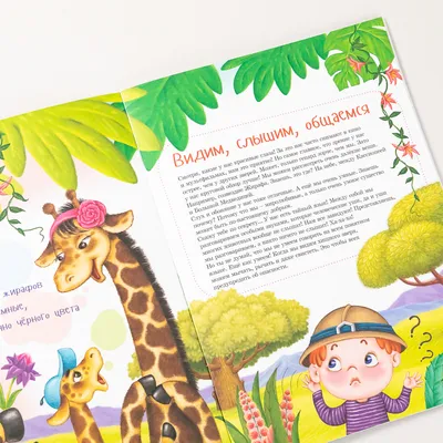 Красивый жираф | Páginas para colorear, Páginas para colorear de animales,  Jirafas para colorear