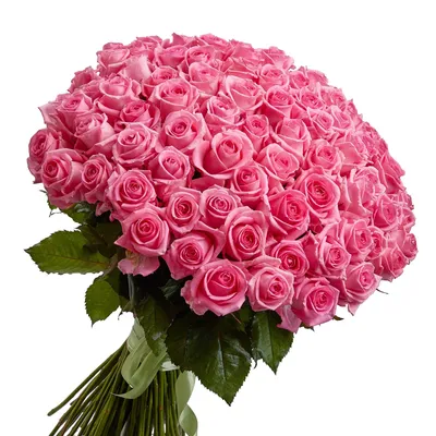 Букет красивых роз картинки - 66 фото