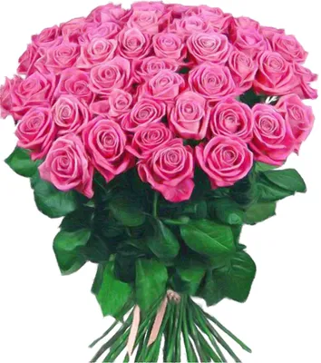 Фото красивых букетов роз