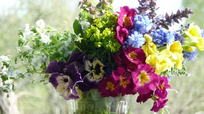 Фото Букет красивых цветов