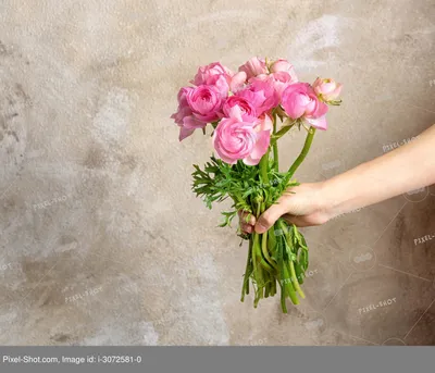 Женская рука держит букет красивых цветов лютика на цветном фоне ::  Стоковая фотография :: Pixel-Shot Studio