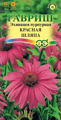 Эхинацею Красная Шляпа можно купить недорого с доставкой в питомнике  Любвитский