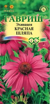 Комплект: \"Мухомор\". Красная шляпа гриба и пышный воротник. в магазине  «BOOBA» на Ламбада-маркете