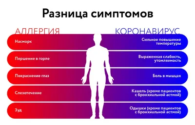 Эксперты рассказали о разнице симптомов сезонной аллергии и COVID-19 -  Южные горизонты