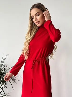 Платье трикотажное Фая (красное) купить в интернет-магазине