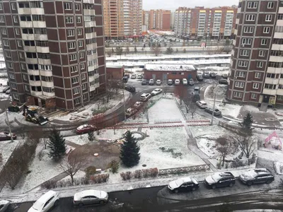 Красноярцы делятся фото первого снега — Новости 7 канала, Красноярск