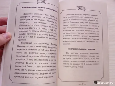 Красноухая черепаха — купить в Красноярске. Остальные животные на  интернет-аукционе Au.ru