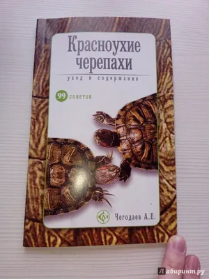 Красноухая черепаха , как долго линяет - Содержание и кормление водных -  Форум черепахи.ру